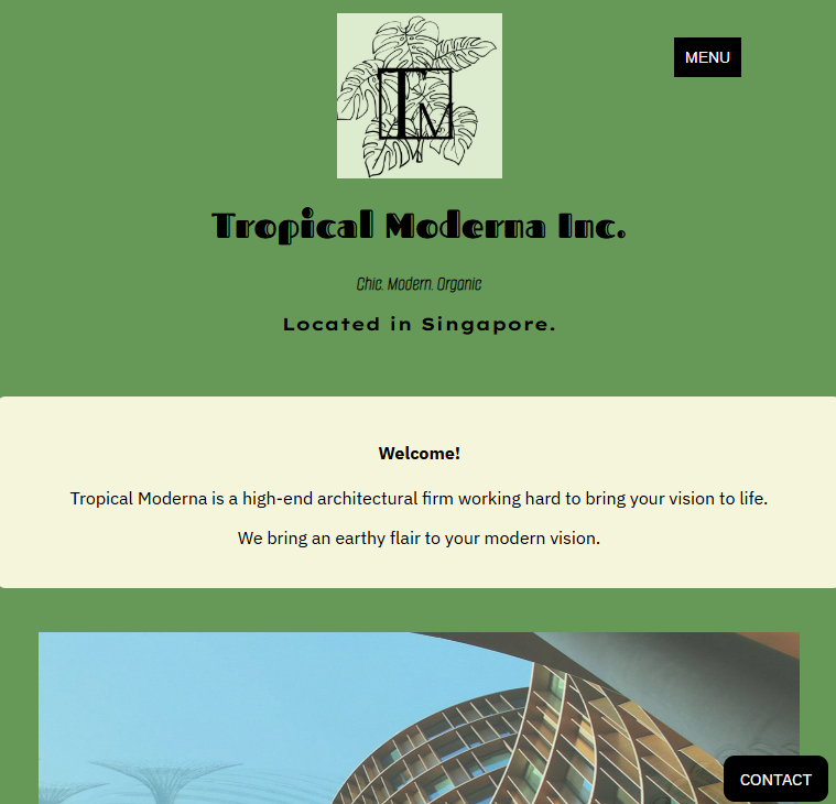 Website mockup